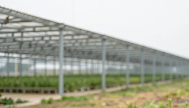 网站建设中域名备案为何成为难题？